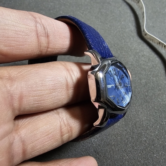 Pastorelli Ladies Quartz Watch Blue Dial Silver Tone Case Blue Strap Working sho - Picture 3 of 9